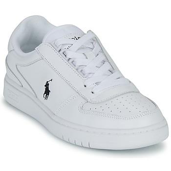 Kengät Polo Ralph Lauren  POLO CRT PP-SNEAKERS-LOW TOP LACE  44