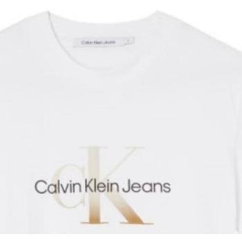 Lyhythihainen t-paita Calvin Klein Jeans  -  EU L