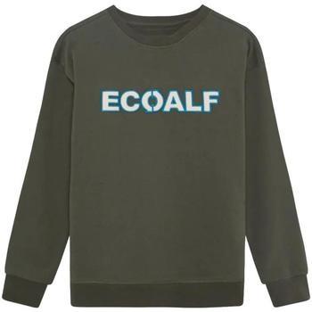 Svetari Ecoalf  -  6 vuotta