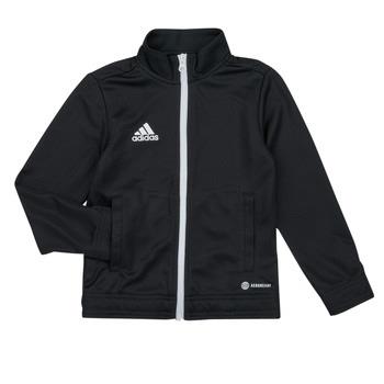 Ulkoilutakki adidas  ENT22 TK JKTY  11 / 12 vuotta