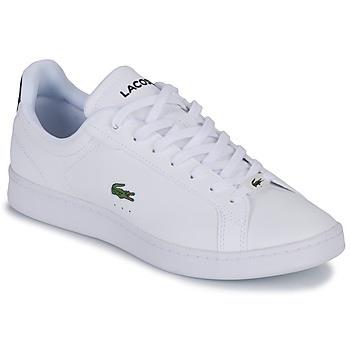 Kengät Lacoste  CARNABY PRO  46