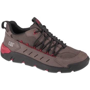 Kengät Caterpillar  Crail Sport Low  41