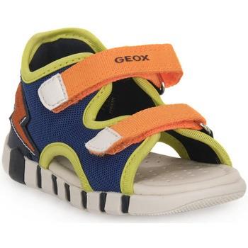 Poikien sandaalit Geox  C0685 IUPIDOO  20