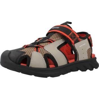 Poikien sandaalit Geox  SANDAL AIRADYUM F  36