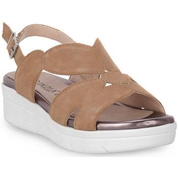 Kengät Cinzia Soft  004 GOAT SUEDE  38