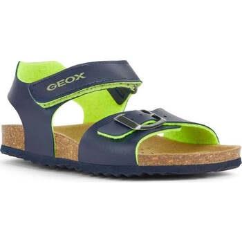 Poikien sandaalit Geox  -  36