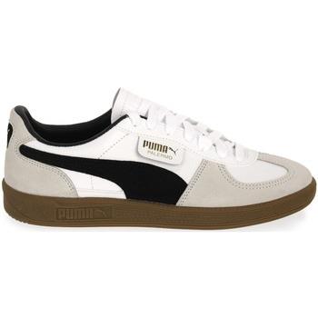 Tennarit Puma  01 PALERMO  38