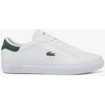 Kengät Lacoste  48SMA0001 POWERCOURT  41