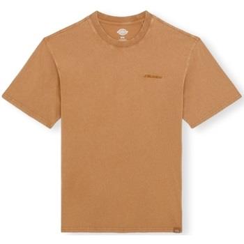 T-paidat & Poolot Dickies  Plentywood T-Shirt - Brown  EU S