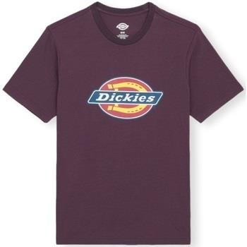 T-paidat & Poolot Dickies  Icon Logo T-Shirt - Plum  EU S