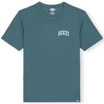 T-paidat & Poolot Dickies  Aitkin Chest Logo T-Shirt - Green  EU S