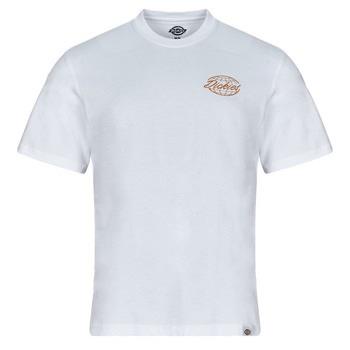 Lyhythihainen t-paita Dickies  DICKIES GLOBE TEE SS  EU S