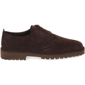 Tennarit Clarks  DESERTROCK LOW  42