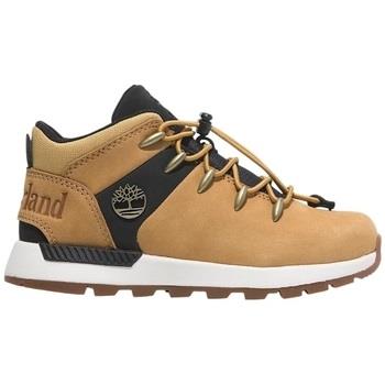 Tennarit Timberland  SPRINT TREKKER MID LACE U  40