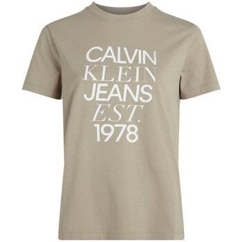 T-paidat & Poolot Calvin Klein Jeans  J20J224910  EU M