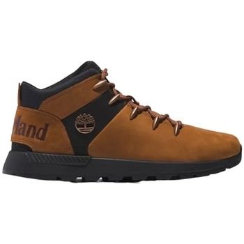 Kengät Timberland  SPRINT TREKKER MID LACE U  40