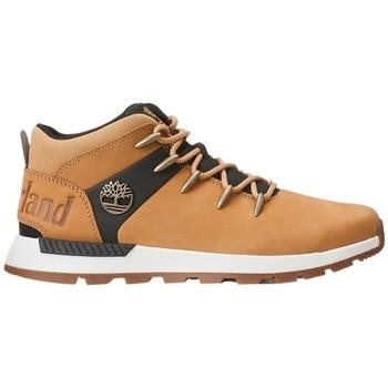 Kengät Timberland  SPRINT TREKKER MID LACE U  36