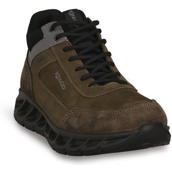 Saappaat IgI&CO  SANTOS GTX  41