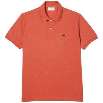 T-paidat & Poolot Lacoste  L.12.12  EU XXL