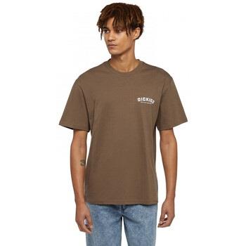 T-paidat & Poolot Dickies  builder tee ss  EU S