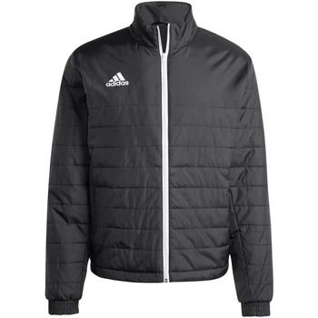 Parkatakki adidas  adidas Entrada 22 Light Jacket  EU XXL