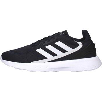 Kengät adidas  EG3694  46