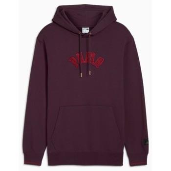 Svetari Puma  CLASSICS PLAY PARIS HOODIE  EU S