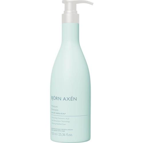 Björn Axén Moisture Shampoo 750 ml