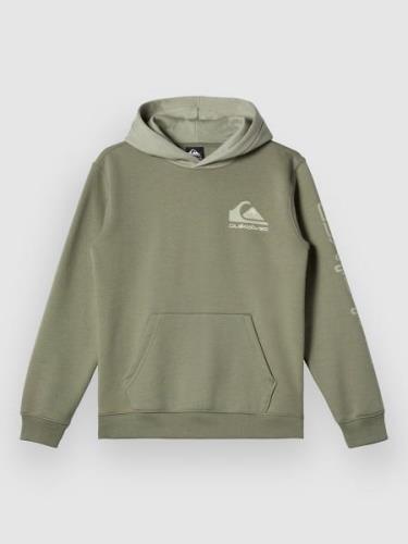 Quiksilver Omni Logo Huppari vihreä