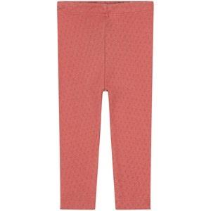 Mini Sibling Jersey Pants Brick Red 3-6 Months
