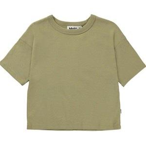 Molo Rabecke T-Shirt Cedar 164 cm