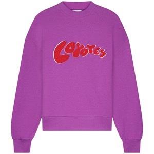 Les Coyotes de Paris Lily Branded Sweater Purple 14 Years