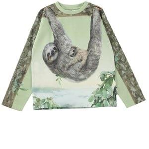 Molo Milou T-Shirt Sloth Life 92 cm