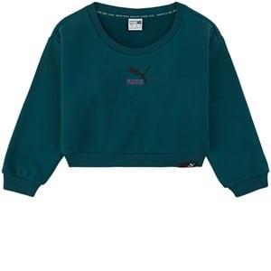 Puma Branded Sweatshirt Green 104 cm
