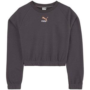 Puma Logo Crop Sweatshirt Gray 3-4 Years