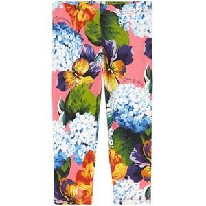 Dolce & Gabbana Floral Leggings Multicolor 18-24 Months