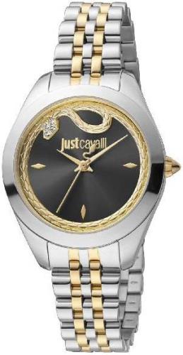 Just Cavalli Naisten kello JC1L210M0305 Finezza