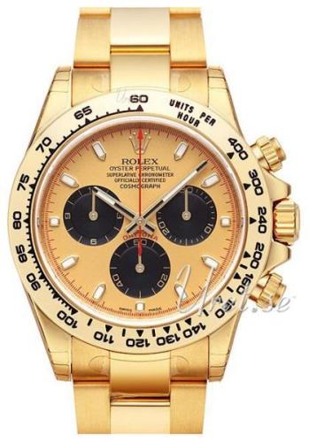 Rolex Miesten kello 116508/7 Cosmograph Daytona Kullattu/18K