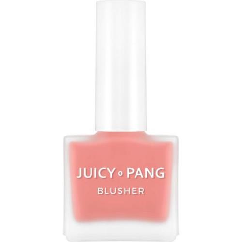 A'Pieu Juicy-Pang Water Blusher Pk04