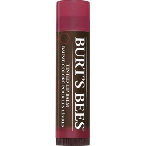 Burt´s Bees Tinted Lip Balm Daisy 4 g