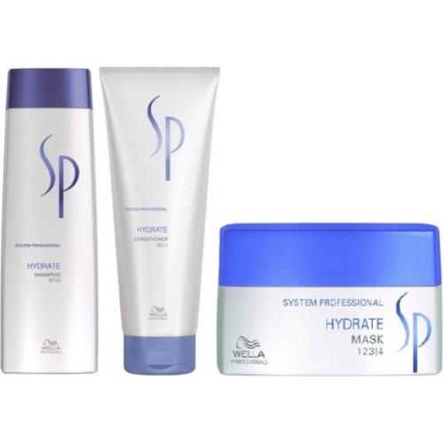 Wella Professionals SP Wella Hydrate Package