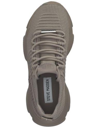 STEVE MADDEN Matalavartiset tennarit  taupe