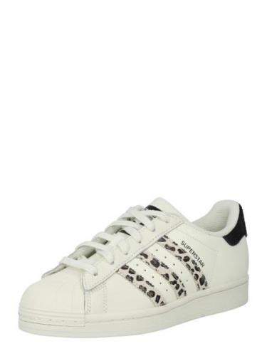 ADIDAS ORIGINALS Matalavartiset tennarit 'Superstar'  beige / tummanru...