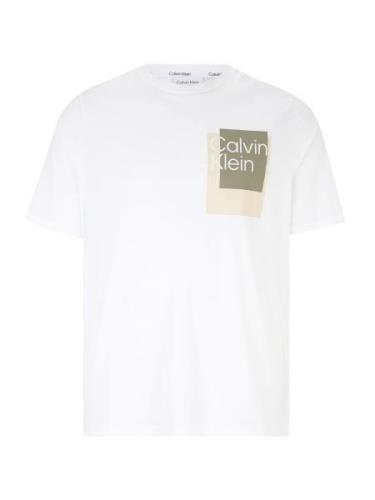 Calvin Klein Big & Tall Paita  beige / khaki / valkoinen
