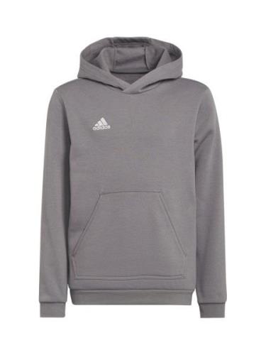 ADIDAS PERFORMANCE Urheilullinen collegepaita 'Entrada 22 Sweat'  mele...