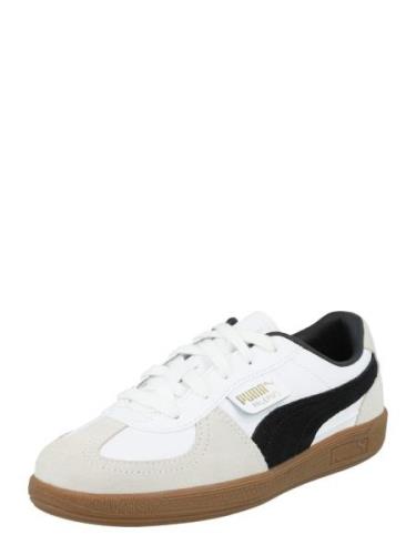 PUMA Tennarit 'Palermo'  kullankeltainen / savunharmaa / musta / valko...