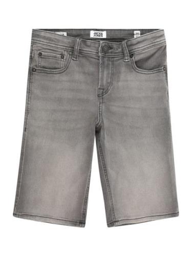 Jack & Jones Junior Farkut 'RICK ORIGINAL'  harmaa denim