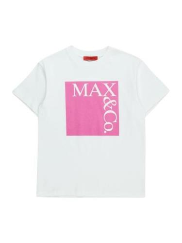 MAX&Co. Paita  vaaleanpunainen / valkoinen