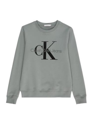 Calvin Klein Jeans Collegepaita  ruoko / musta