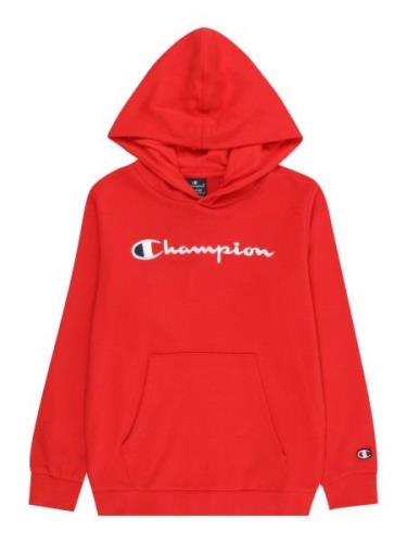 Champion Authentic Athletic Apparel Collegepaita  laivastonsininen / p...